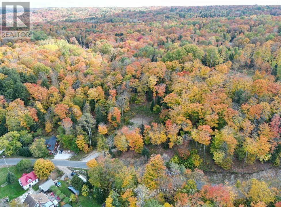 1019 Bushwolf Lake Road, Dysart Et Al, Ontario  K0M 1S0 - Photo 27 - X11953026