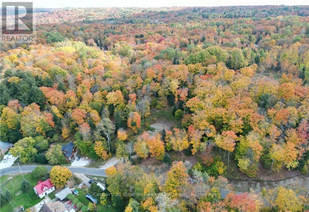 1019 Bushwolf Lake Road, Dysart Et Al, Ontario  K0M 1S0 - Photo 28 - X11953026