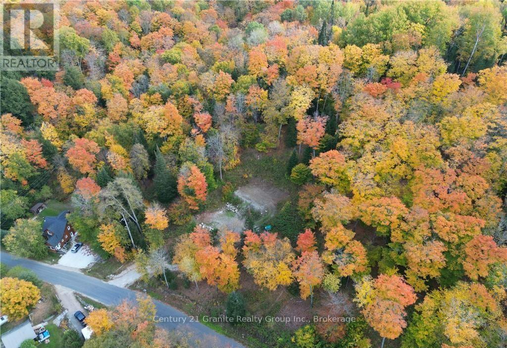 1019 Bushwolf Lake Road, Dysart Et Al, Ontario  K0M 1S0 - Photo 29 - X11953026