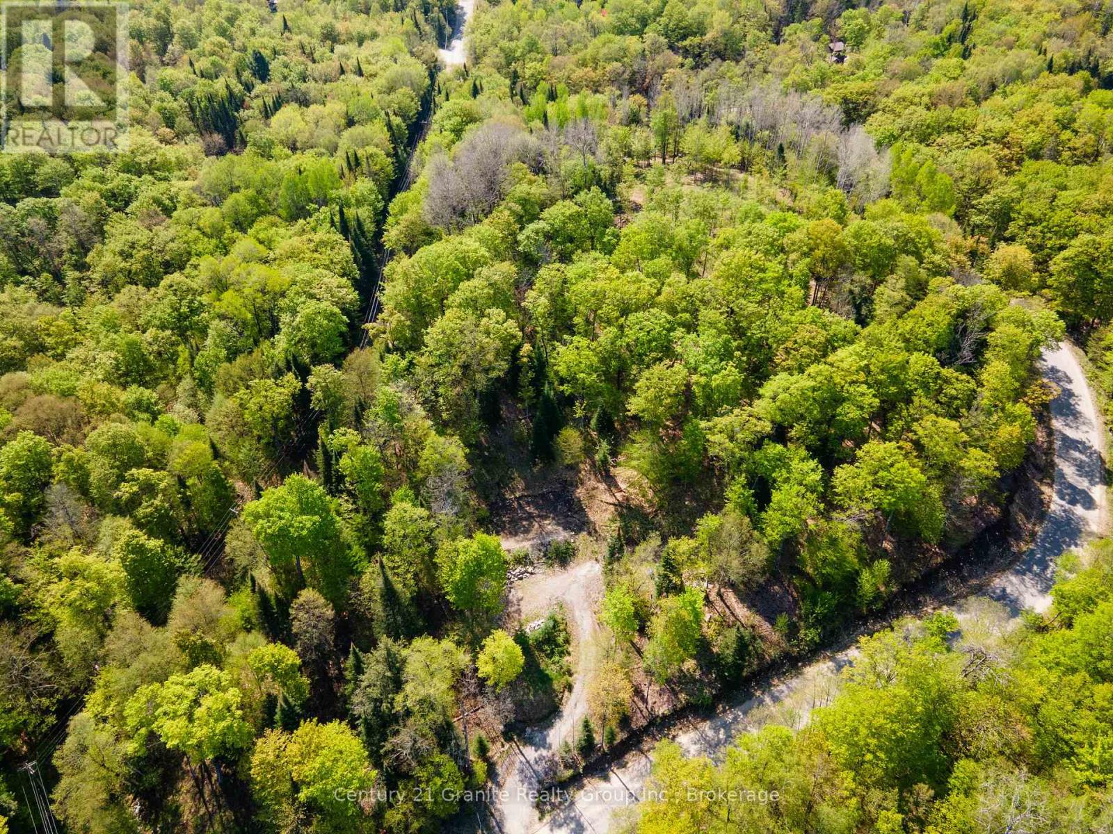 1019 Bushwolf Lake Road, Dysart Et Al, Ontario  K0M 1S0 - Photo 3 - X11953026