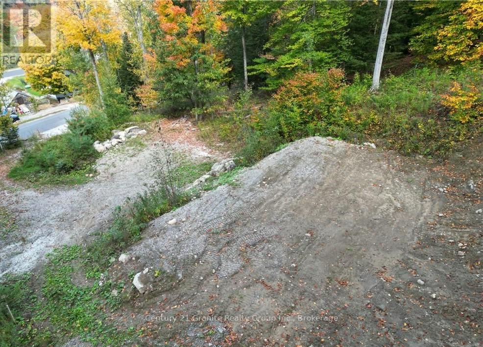 1019 Bushwolf Lake Road, Dysart Et Al, Ontario  K0M 1S0 - Photo 30 - X11953026