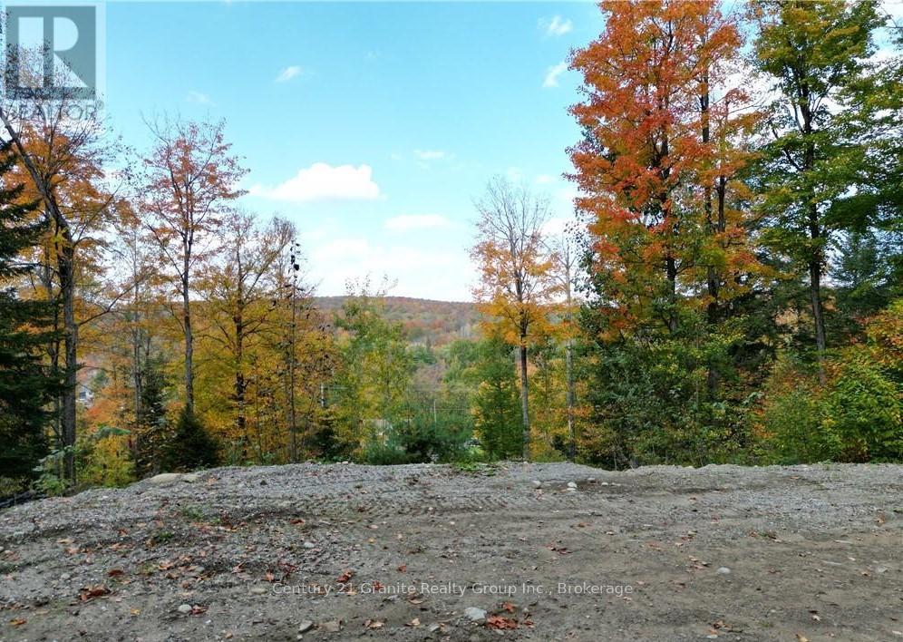 1019 Bushwolf Lake Road, Dysart Et Al, Ontario  K0M 1S0 - Photo 31 - X11953026