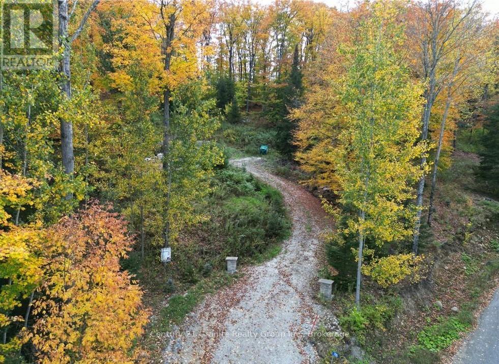 1019 Bushwolf Lake Road, Dysart Et Al, Ontario  K0M 1S0 - Photo 33 - X11953026