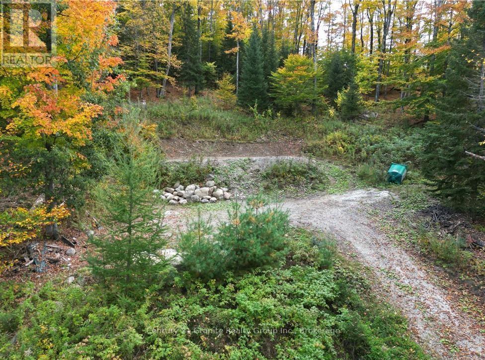 1019 Bushwolf Lake Road, Dysart Et Al, Ontario  K0M 1S0 - Photo 34 - X11953026
