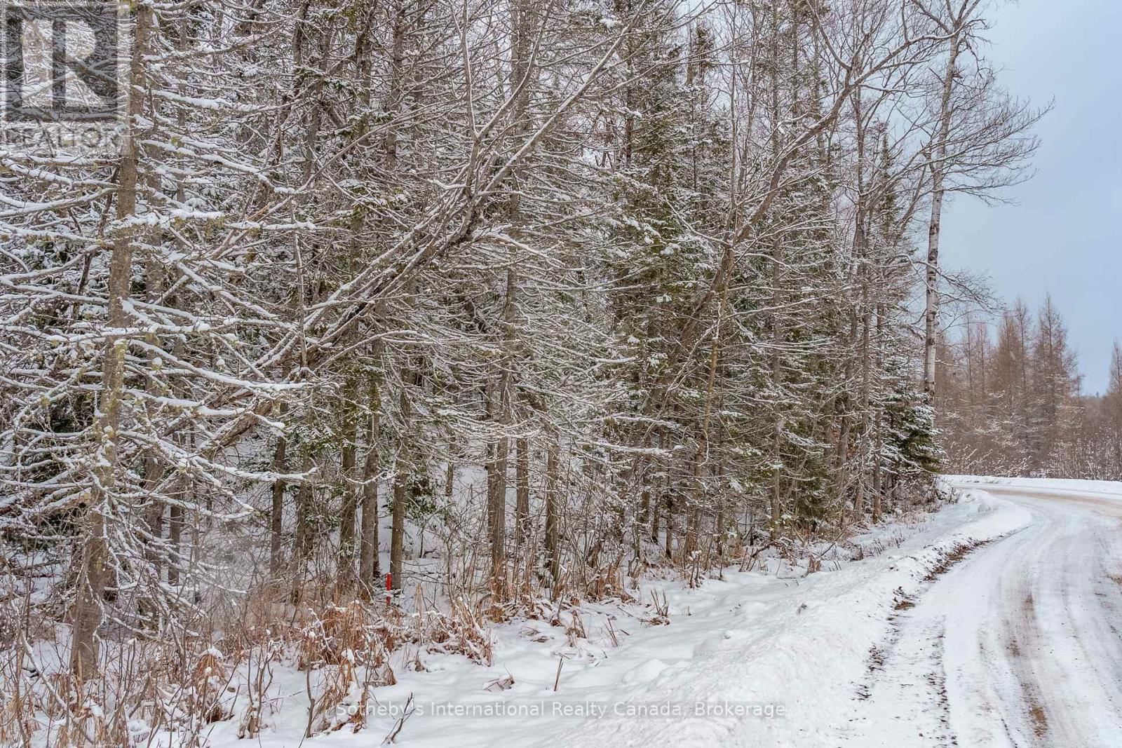 0 Colbourne Road, Armour, Ontario  P0A 1C0 - Photo 9 - X11953153