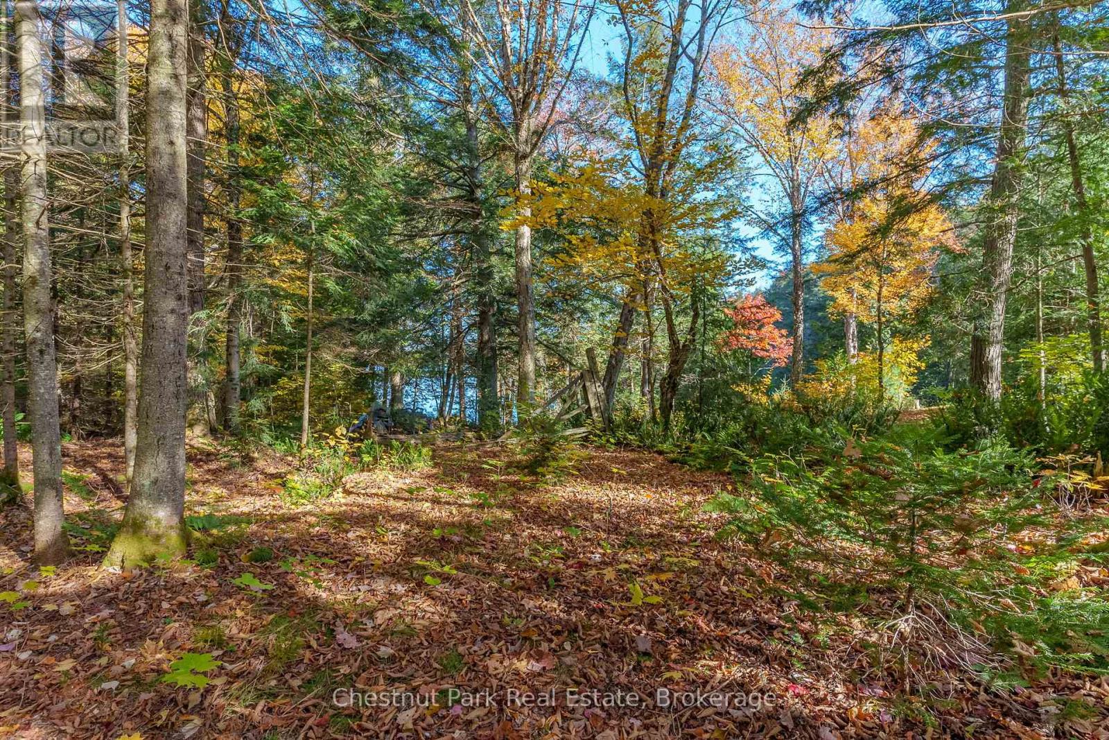 1031 Carl Fisher Drive, Lake Of Bays, Ontario  P1H 2J6 - Photo 10 - X11953368