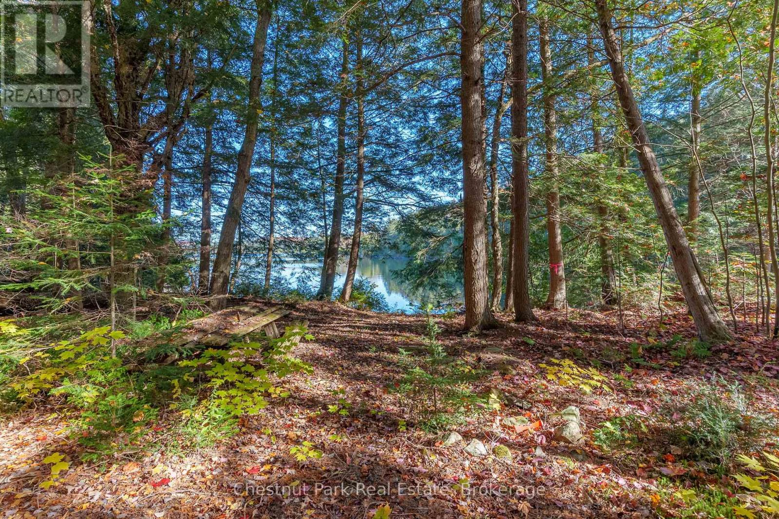 1031 Carl Fisher Drive, Lake Of Bays, Ontario  P1H 2J6 - Photo 11 - X11953368