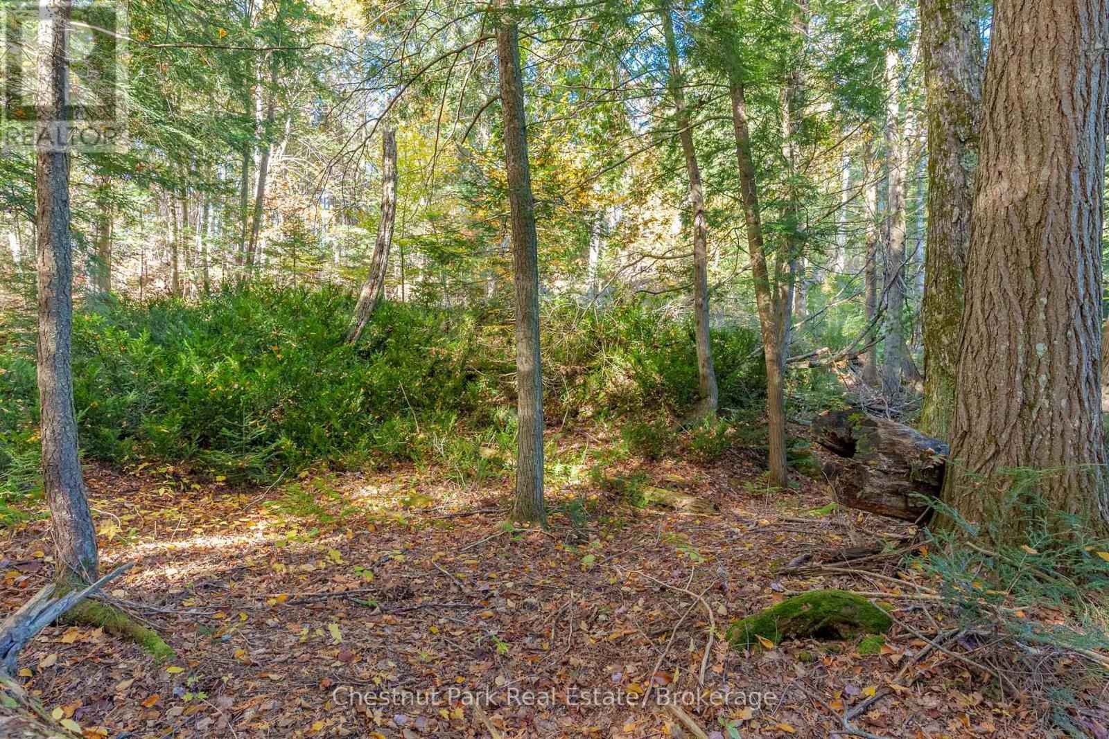 1031 Carl Fisher Drive, Lake Of Bays, Ontario  P1H 2J6 - Photo 14 - X11953368