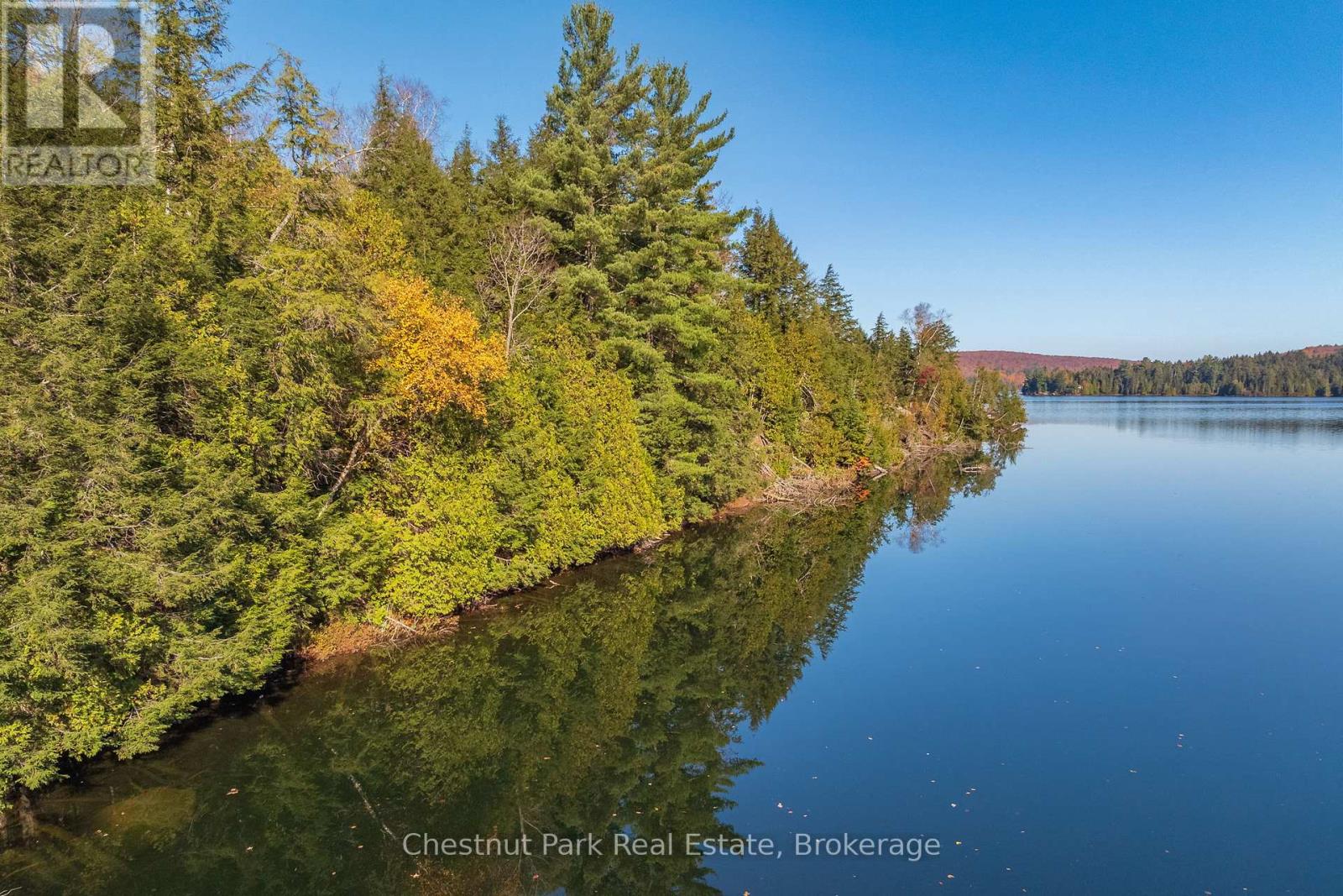 1031 Carl Fisher Drive, Lake Of Bays, Ontario  P1H 2J6 - Photo 8 - X11953368