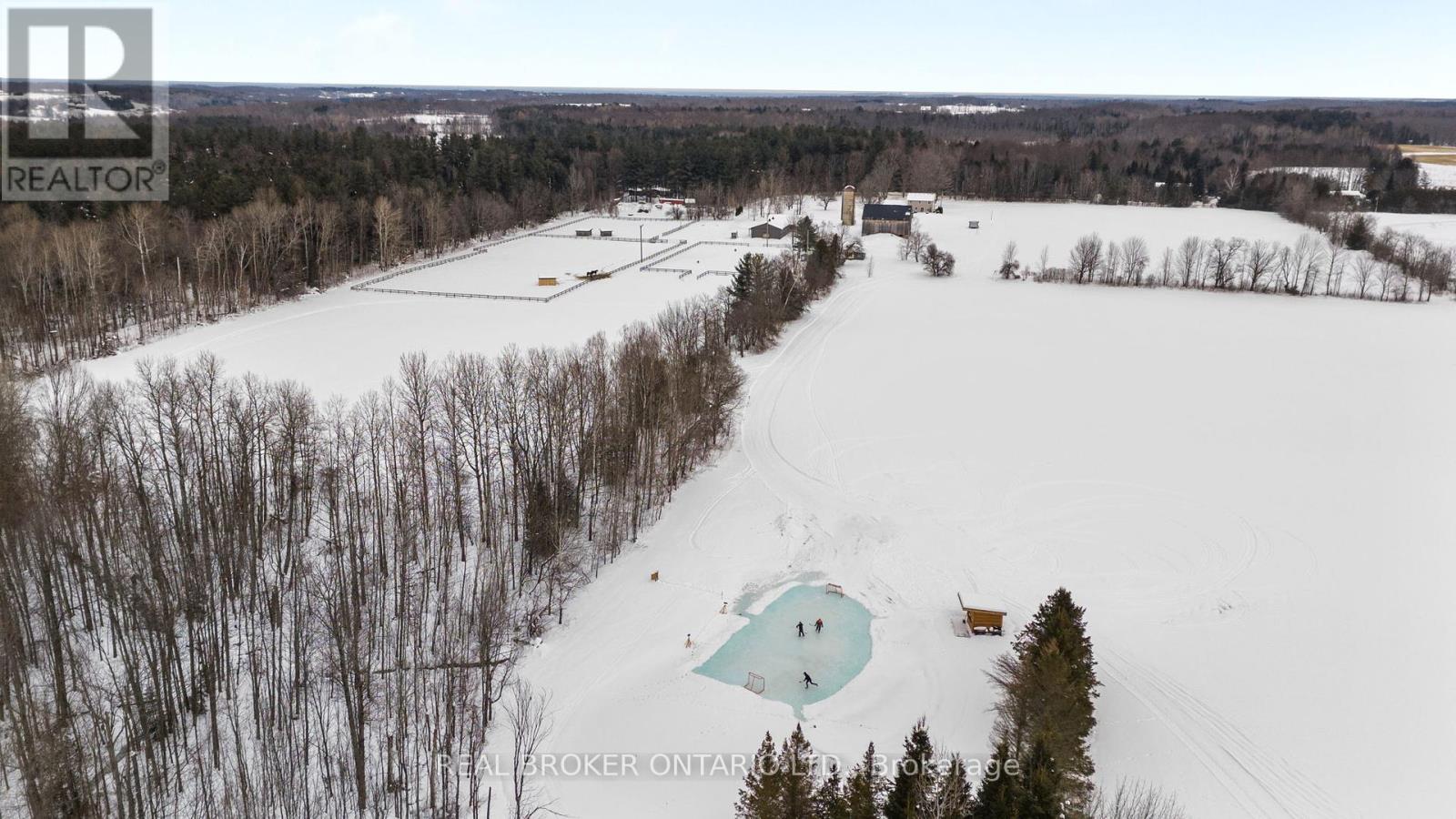 3750 10 Line N, Oro-Medonte, Ontario  L0K 1E0 - Photo 2 - S9230474