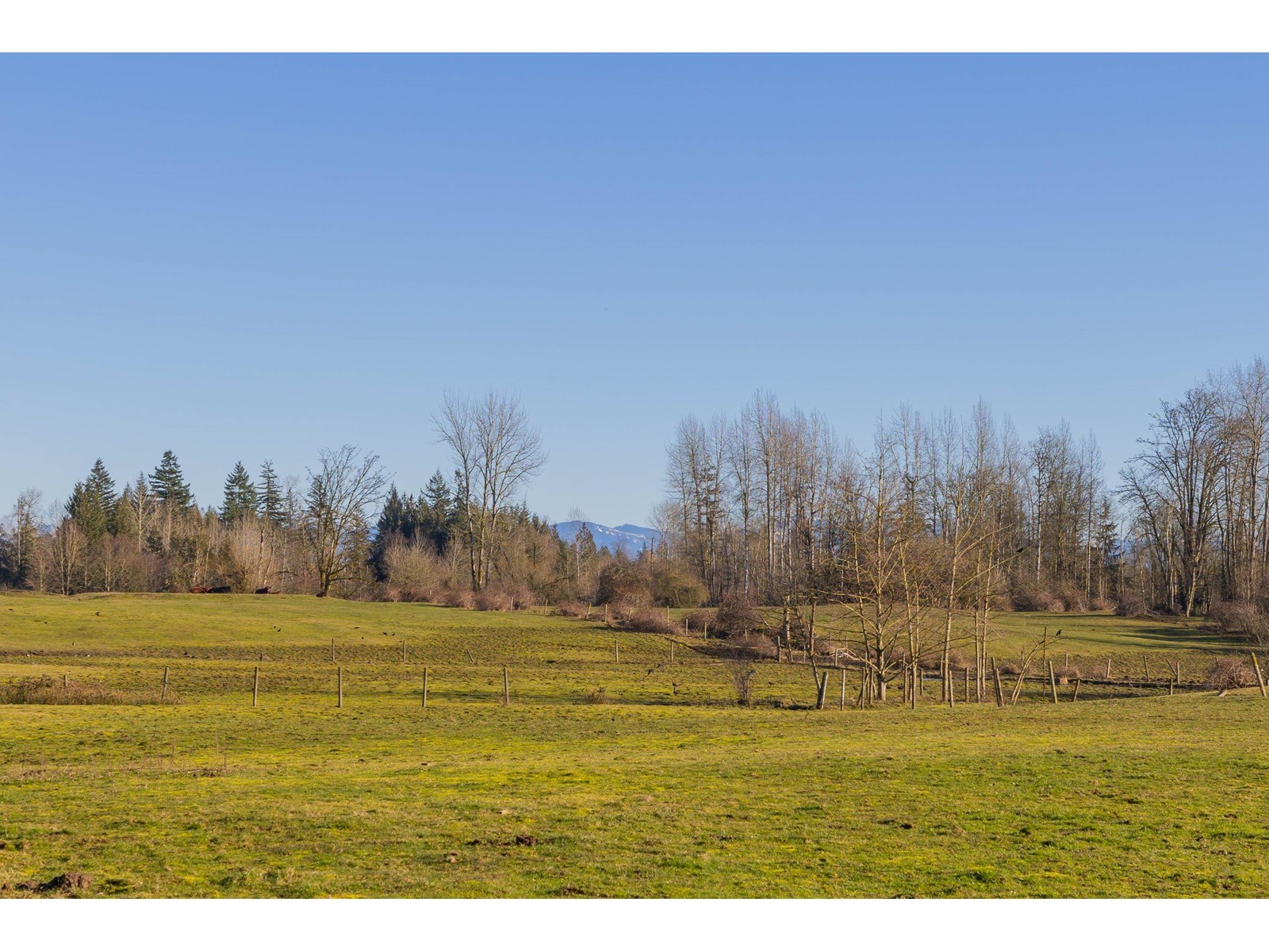 6782 267 Street, Langley, British Columbia  V4W 3L8 - Photo 39 - R2960394
