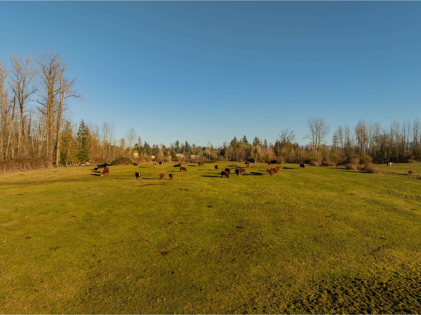 6782 267 Street, Langley, British Columbia  V4W 3L8 - Photo 8 - R2960394