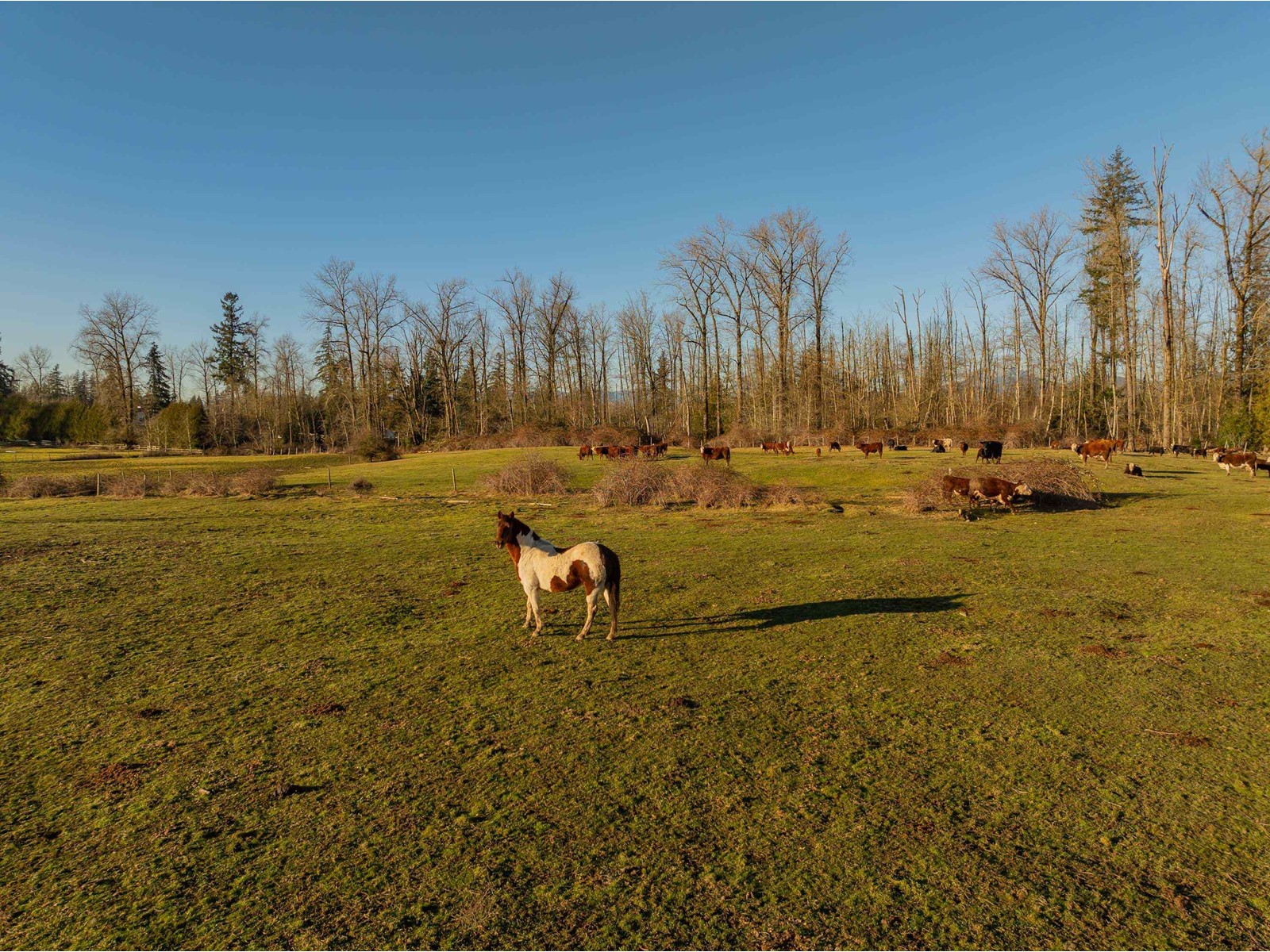 6782 267 Street, Langley, British Columbia  V4W 3L8 - Photo 10 - R2960394