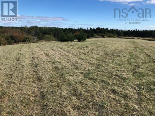 Lot New Harbour Road, Blandford, Nova Scotia  B0J 1T0 - Photo 10 - 202501892