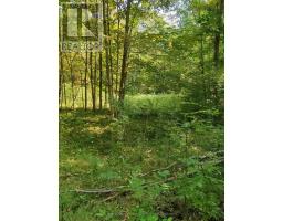 0EAST1 ROAD ALLOWANCE ROAD, Havelock-Belmont-Methuen, Ontario