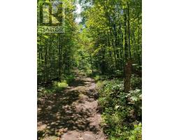 0WEST ROAD ALLOWANCE ROAD, Havelock-Belmont-Methuen, Ontario