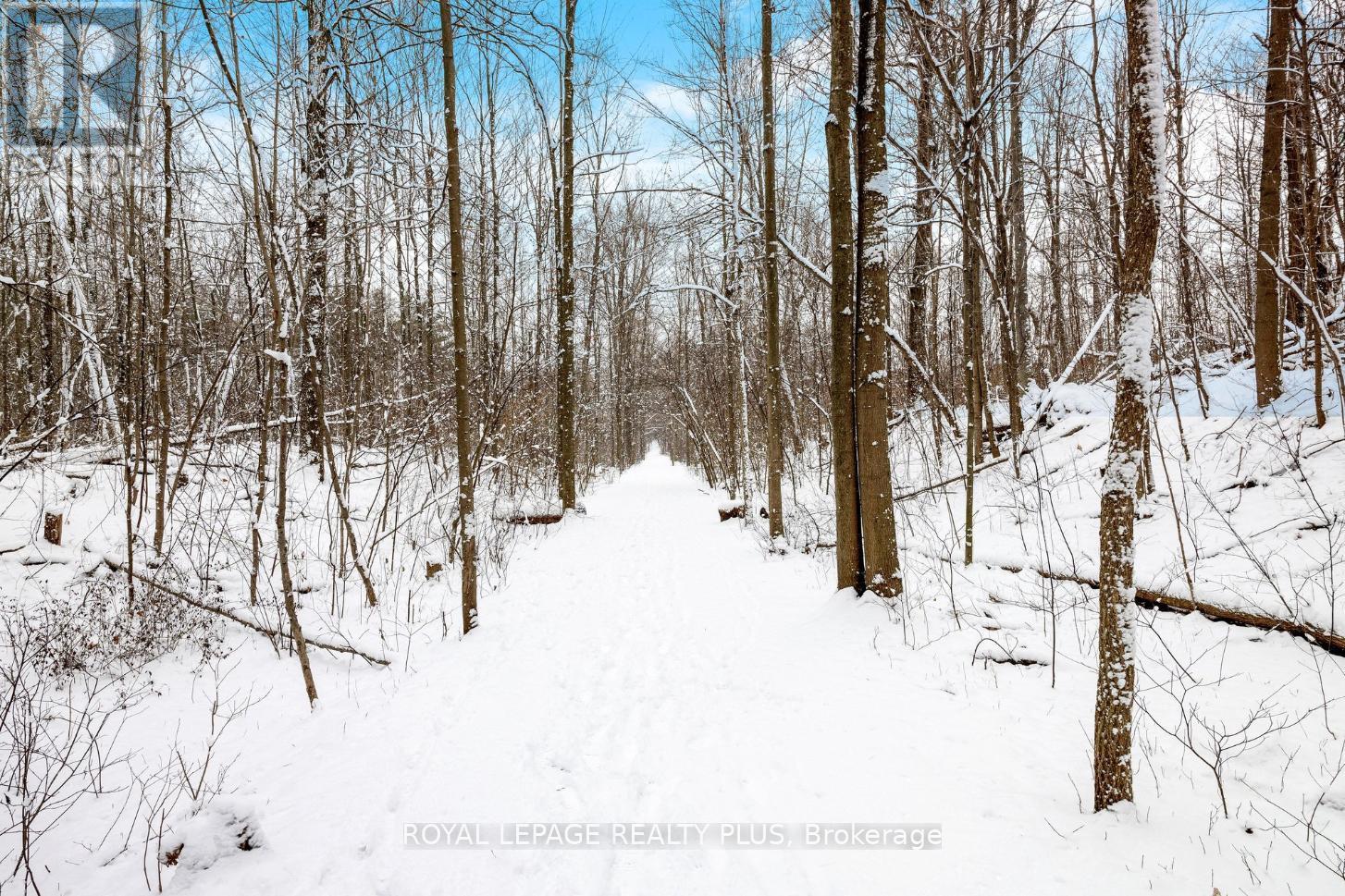 11753 Trafalgar Road, Halton Hills, Ontario  L7G 4S4 - Photo 32 - W11949939