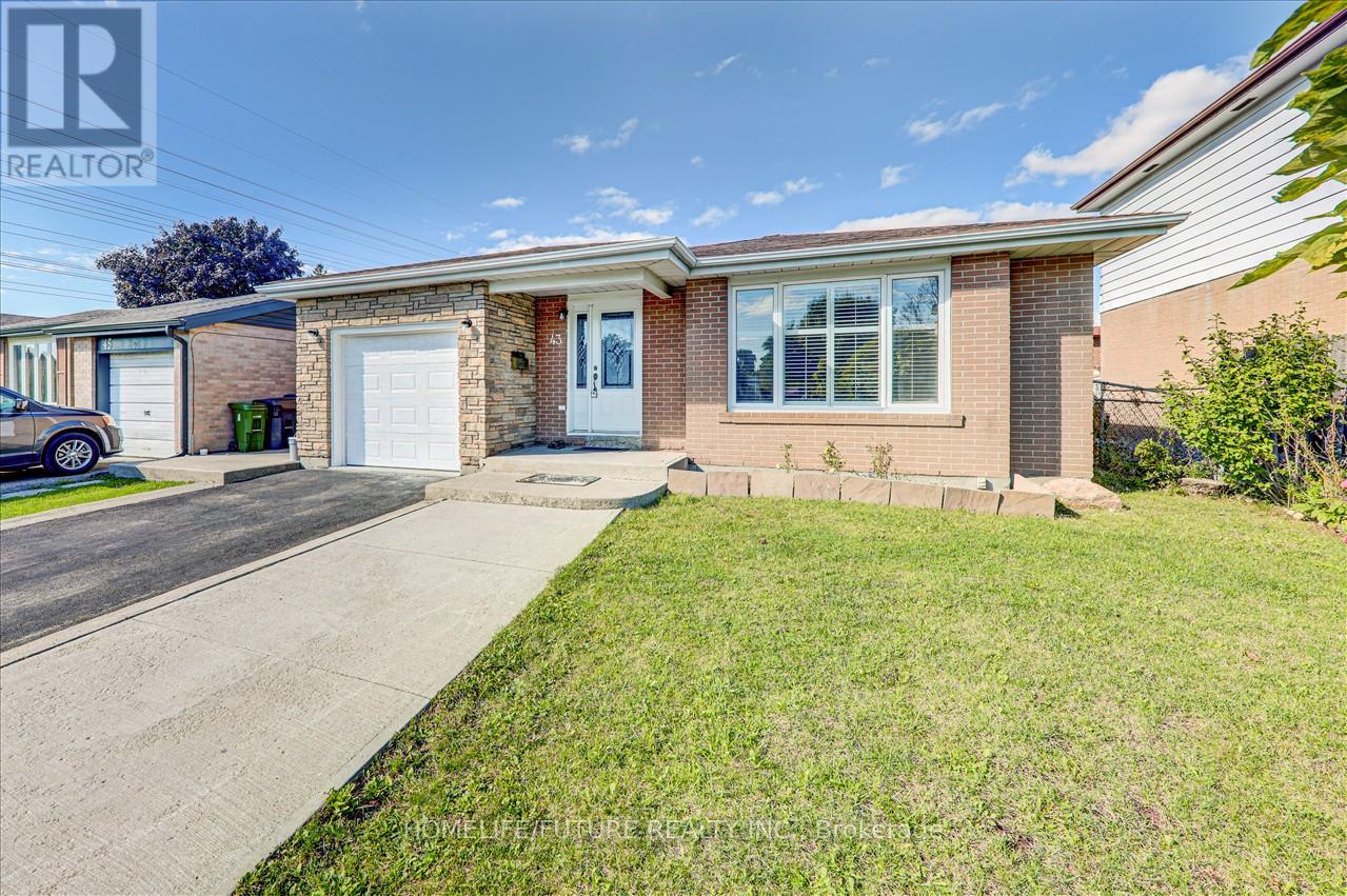 43 Tamarisk Drive, Toronto, Ontario  M9V 1S2 - Photo 3 - W11950982
