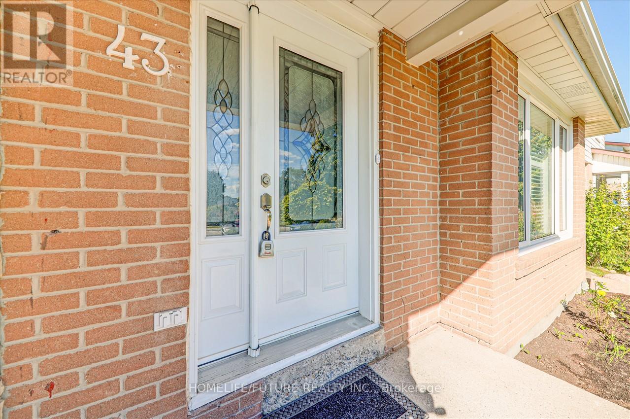 43 Tamarisk Drive, Toronto, Ontario  M9V 1S2 - Photo 4 - W11950982
