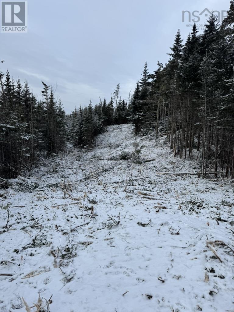 Lot 4-A West Petpeswick Road, Musquodoboit Harbour, Nova Scotia  B0J 2L0 - Photo 10 - 202501302