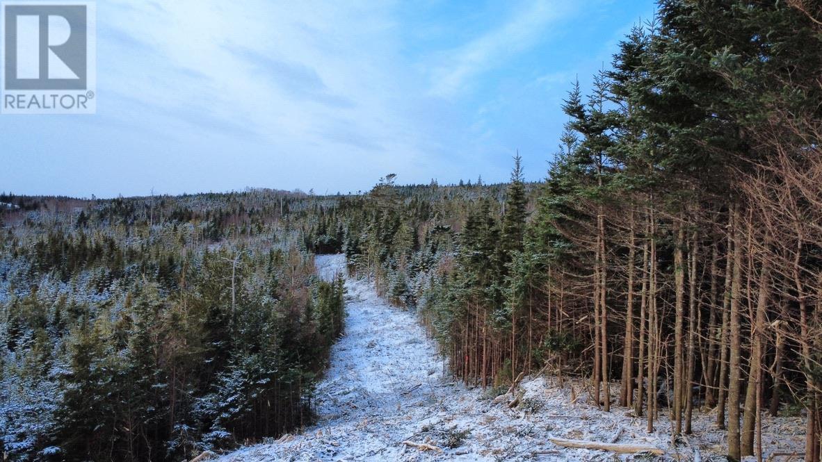 Lot 4-A West Petpeswick Road, Musquodoboit Harbour, Nova Scotia  B0J 2L0 - Photo 11 - 202501302