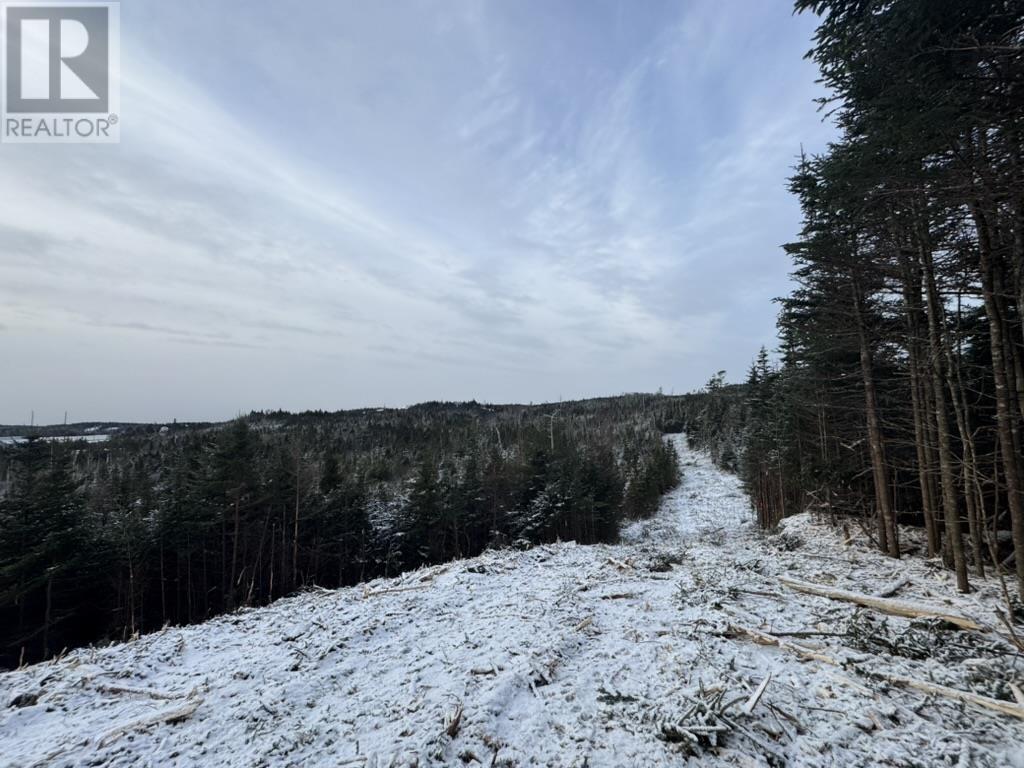 Lot 4-A West Petpeswick Road, Musquodoboit Harbour, Nova Scotia  B0J 2L0 - Photo 13 - 202501302