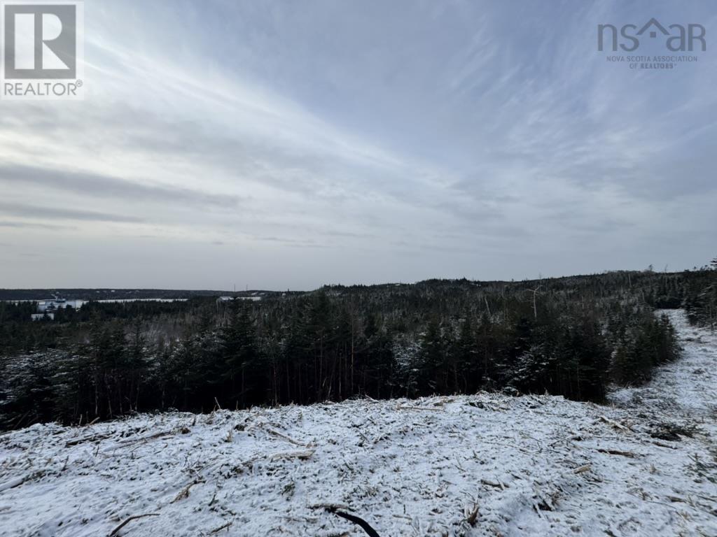 Lot 4-A West Petpeswick Road, Musquodoboit Harbour, Nova Scotia  B0J 2L0 - Photo 16 - 202501302