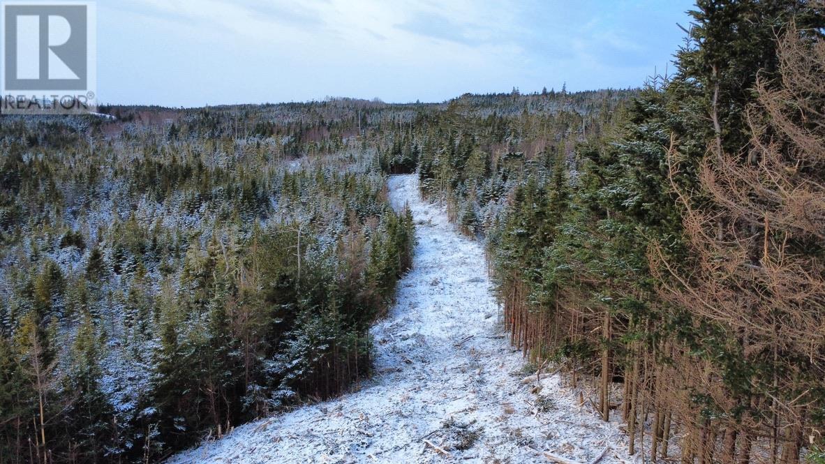 Lot 4-A West Petpeswick Road, Musquodoboit Harbour, Nova Scotia  B0J 2L0 - Photo 18 - 202501302
