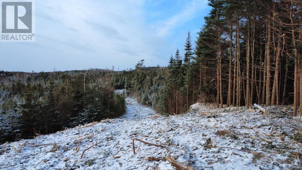 Lot 4-A West Petpeswick Road, Musquodoboit Harbour, Nova Scotia  B0J 2L0 - Photo 19 - 202501302