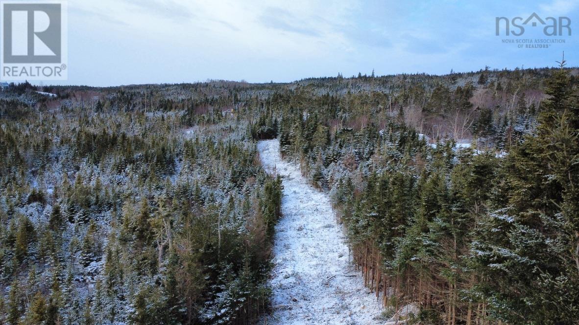 Lot 4-A West Petpeswick Road, Musquodoboit Harbour, Nova Scotia  B0J 2L0 - Photo 26 - 202501302