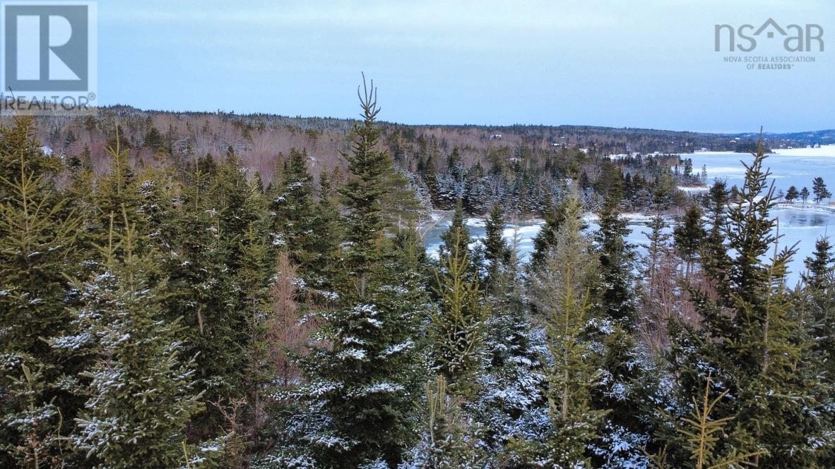 Lot 4-A West Petpeswick Road, Musquodoboit Harbour, Nova Scotia  B0J 2L0 - Photo 38 - 202501302