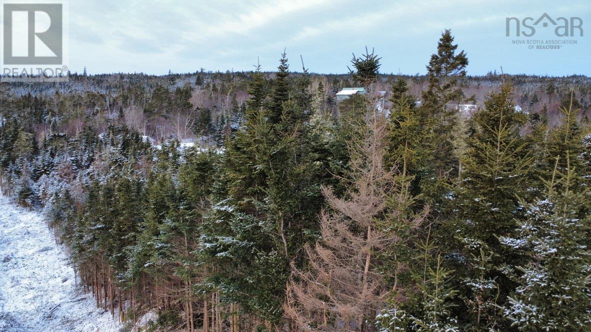 Lot 4-A West Petpeswick Road, Musquodoboit Harbour, Nova Scotia  B0J 2L0 - Photo 40 - 202501302