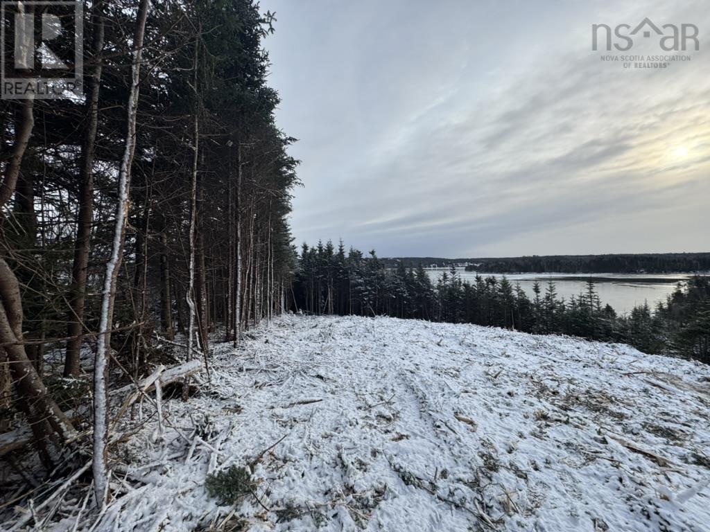 Lot 4-A West Petpeswick Road, Musquodoboit Harbour, Nova Scotia  B0J 2L0 - Photo 8 - 202501302