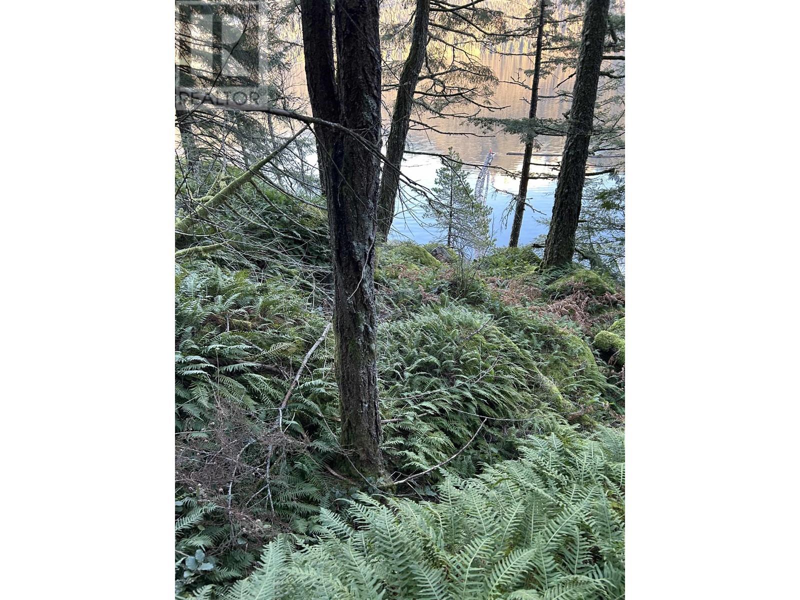 5 Hodgins Harbour, Pitt Meadows, British Columbia  V0V 0V0 - Photo 19 - R2941687