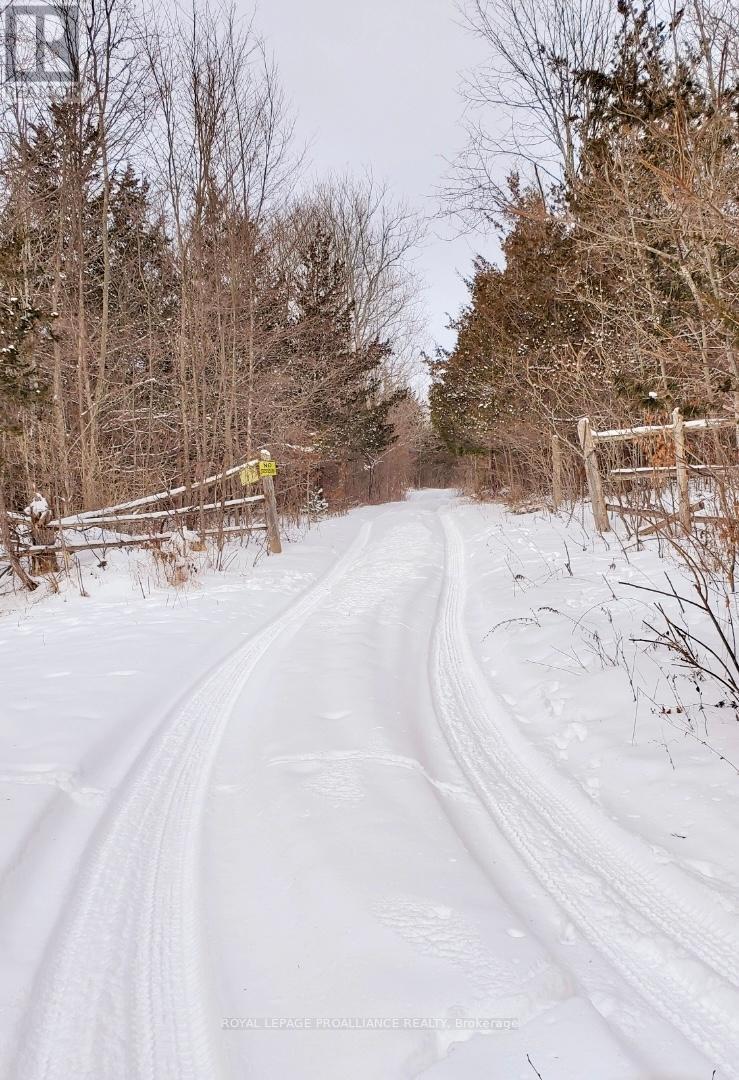 Ptlt 29 Meeks Road, Tweed, Ontario K0K 2L0 - Photo 2 - X11954457