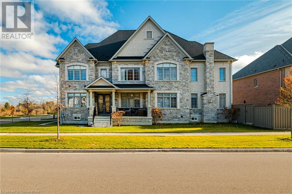Property at 19 GLADIOLUS Street image 4