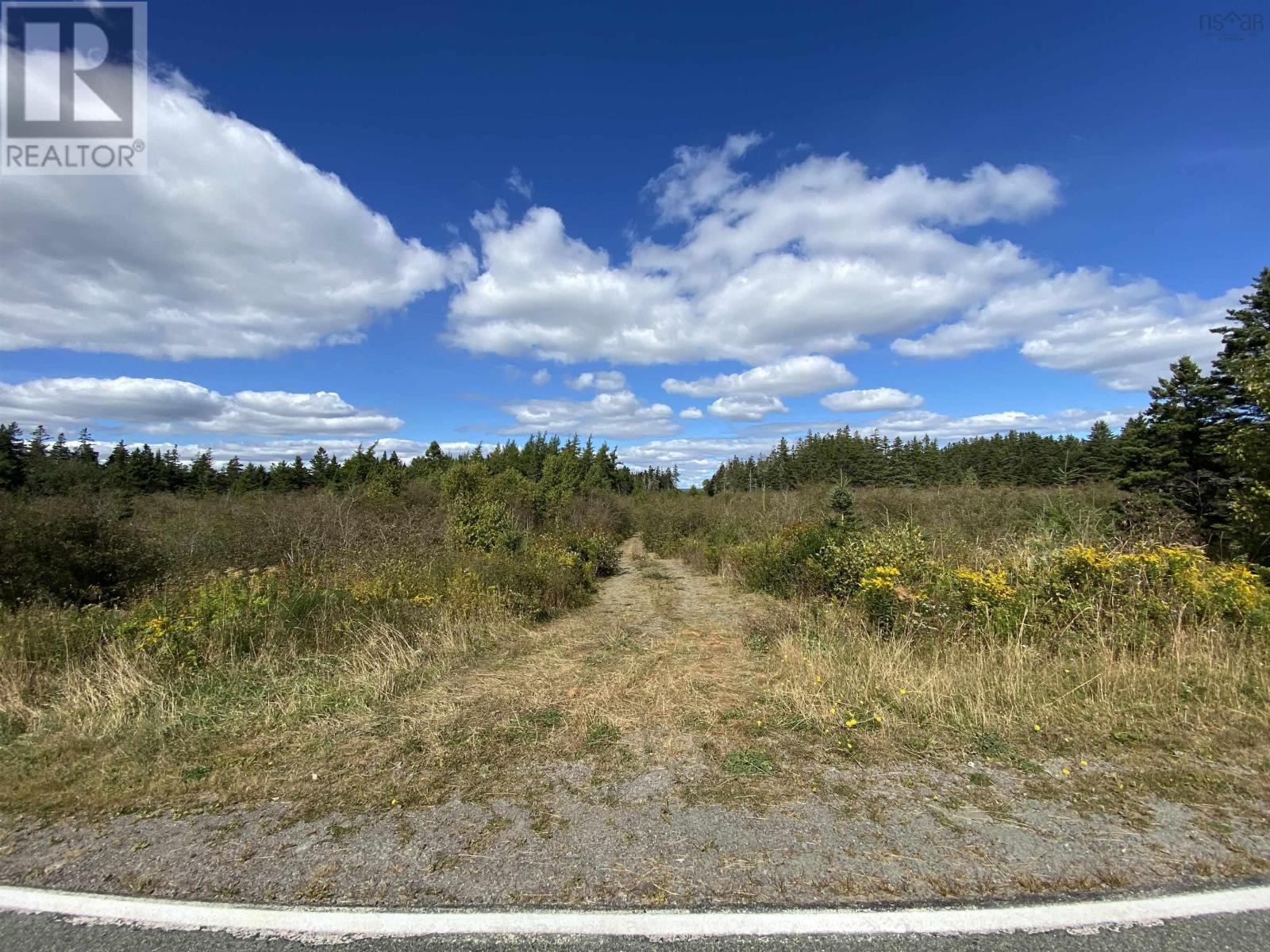 Lot Highway 320, D'escousse, Nova Scotia  B0E 1K0 - Photo 6 - 202502182