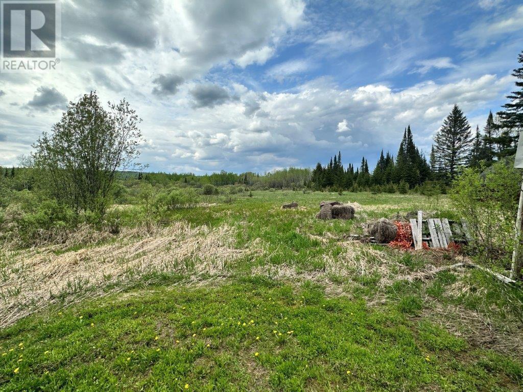 754 Forbes River Road, Kaministiquia, Ontario  P0T 1X0 - Photo 29 - TB250204