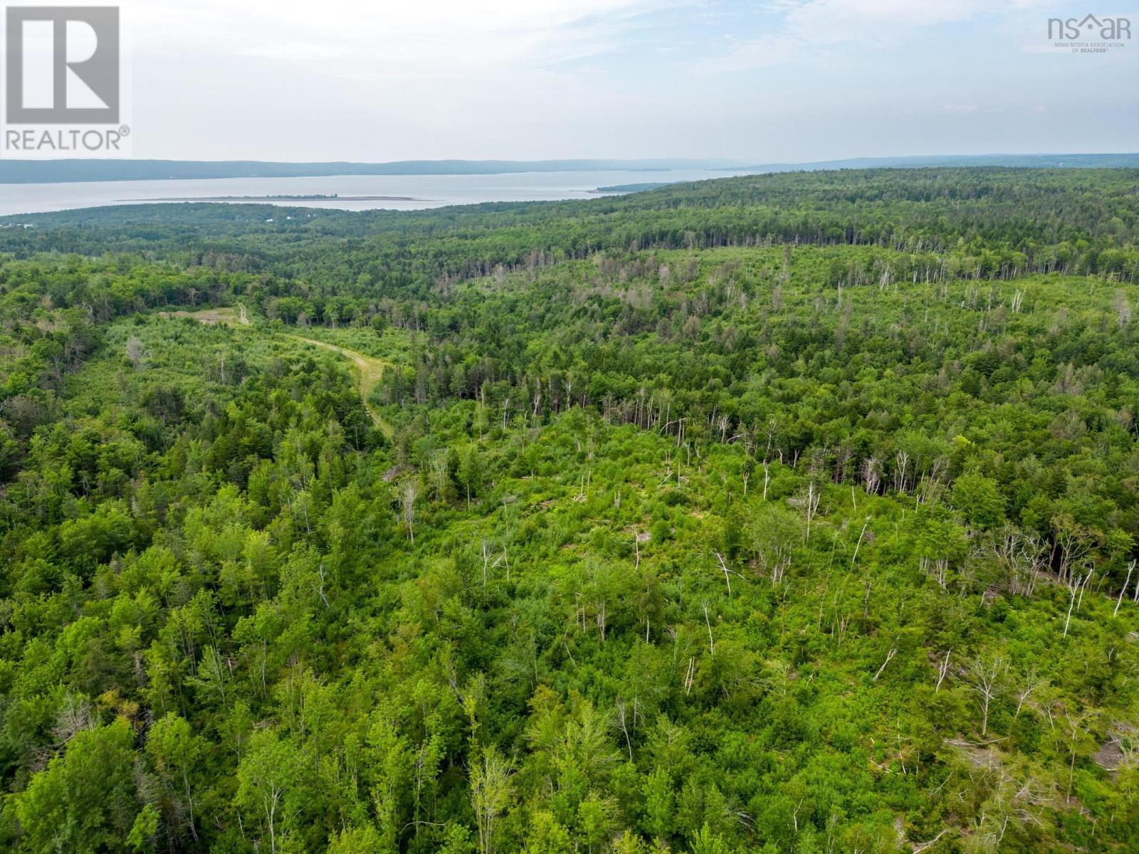 Lot 2 Back Road, Lansdowne, Nova Scotia  B0V 1A0 - Photo 7 - 202502215