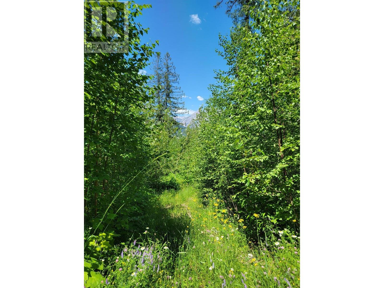 Lot 92 Montane Parkway Lot# Proposed, Fernie, British Columbia  V0B 1M4 - Photo 3 - 10328118