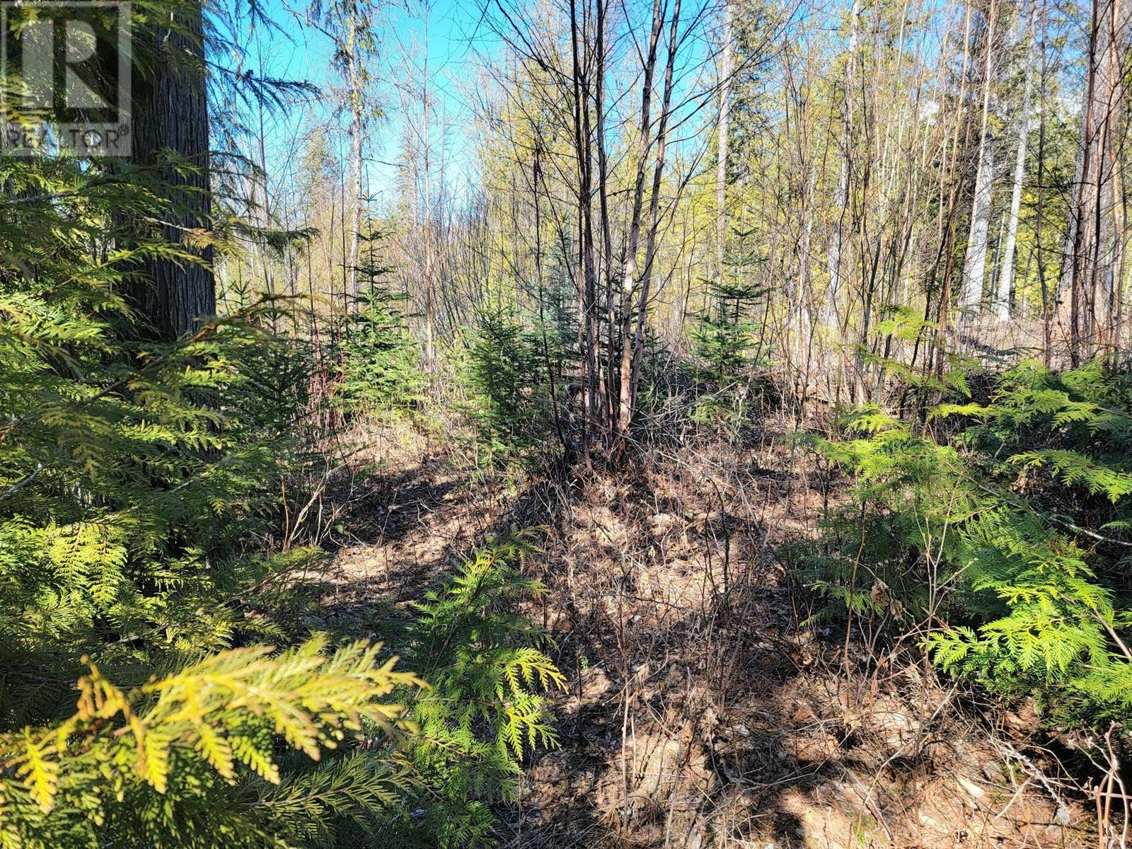 Lot 92 Montane Parkway Lot# Proposed, Fernie, British Columbia  V0B 1M4 - Photo 9 - 10328118