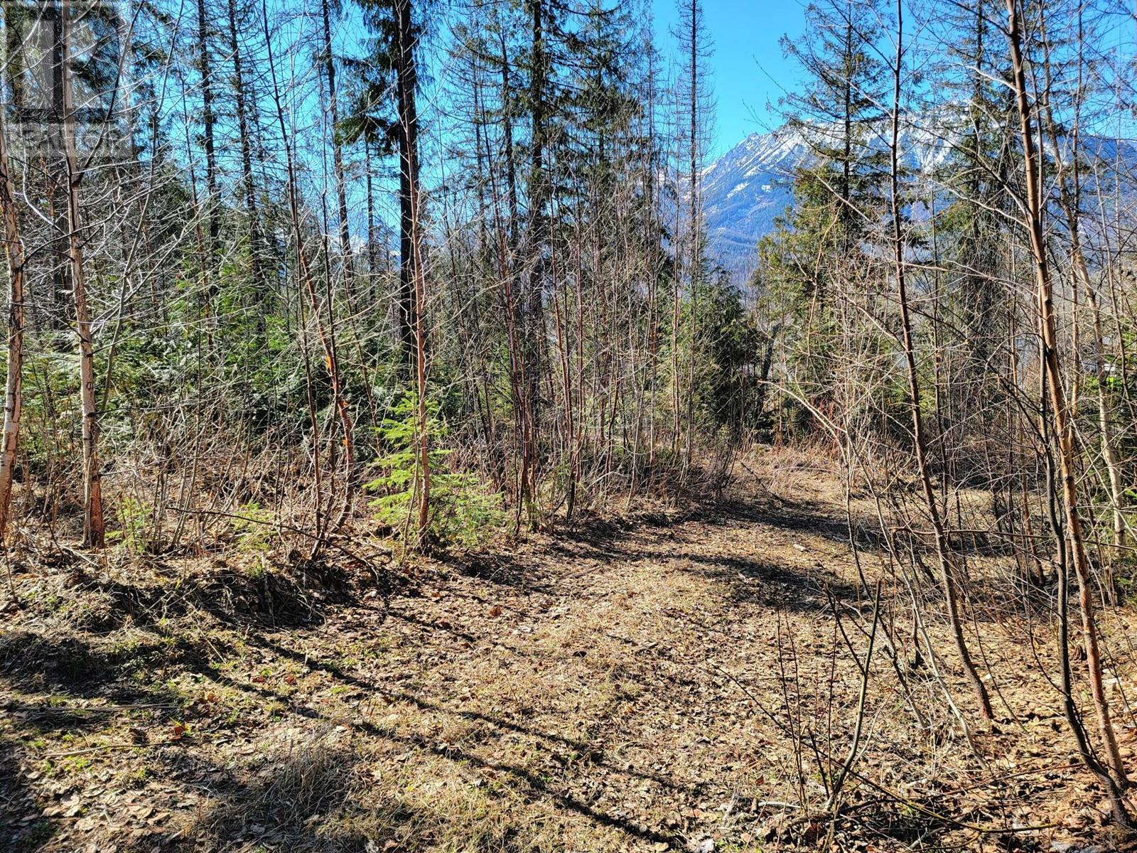 Lot 92 Montane Parkway Lot# Proposed, Fernie, British Columbia  V0B 1M4 - Photo 10 - 10328118