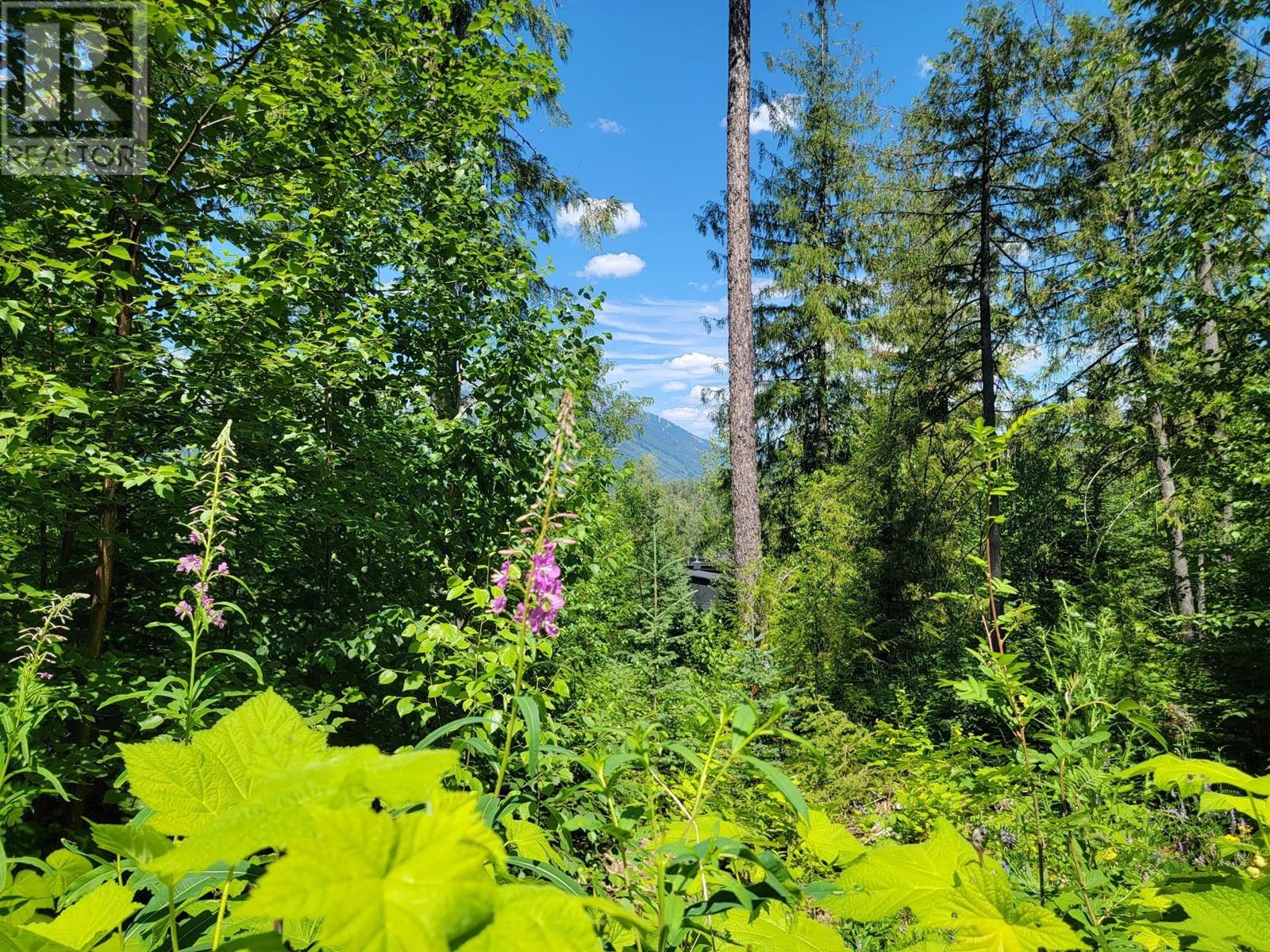 Lot 92 Montane Parkway Lot# Proposed, Fernie, British Columbia  V0B 1M4 - Photo 2 - 10328118