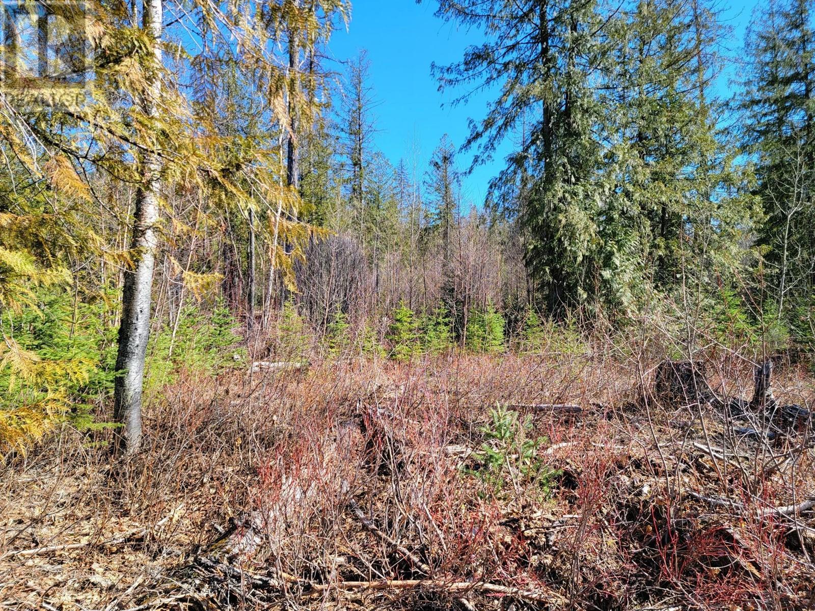 Lot 92 Montane Parkway Lot# Proposed, Fernie, British Columbia  V0B 1M4 - Photo 8 - 10328118