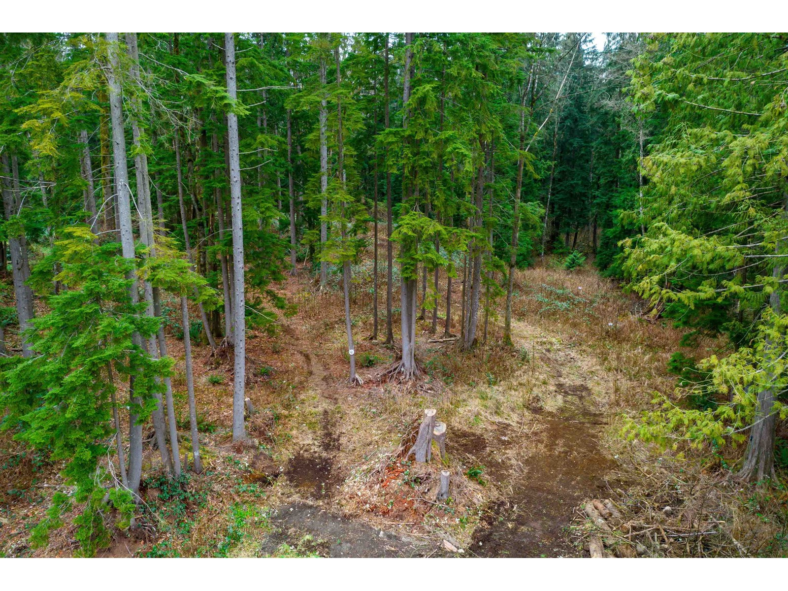 Property at 29809 DEWDNEY TRUNK ROAD image 4