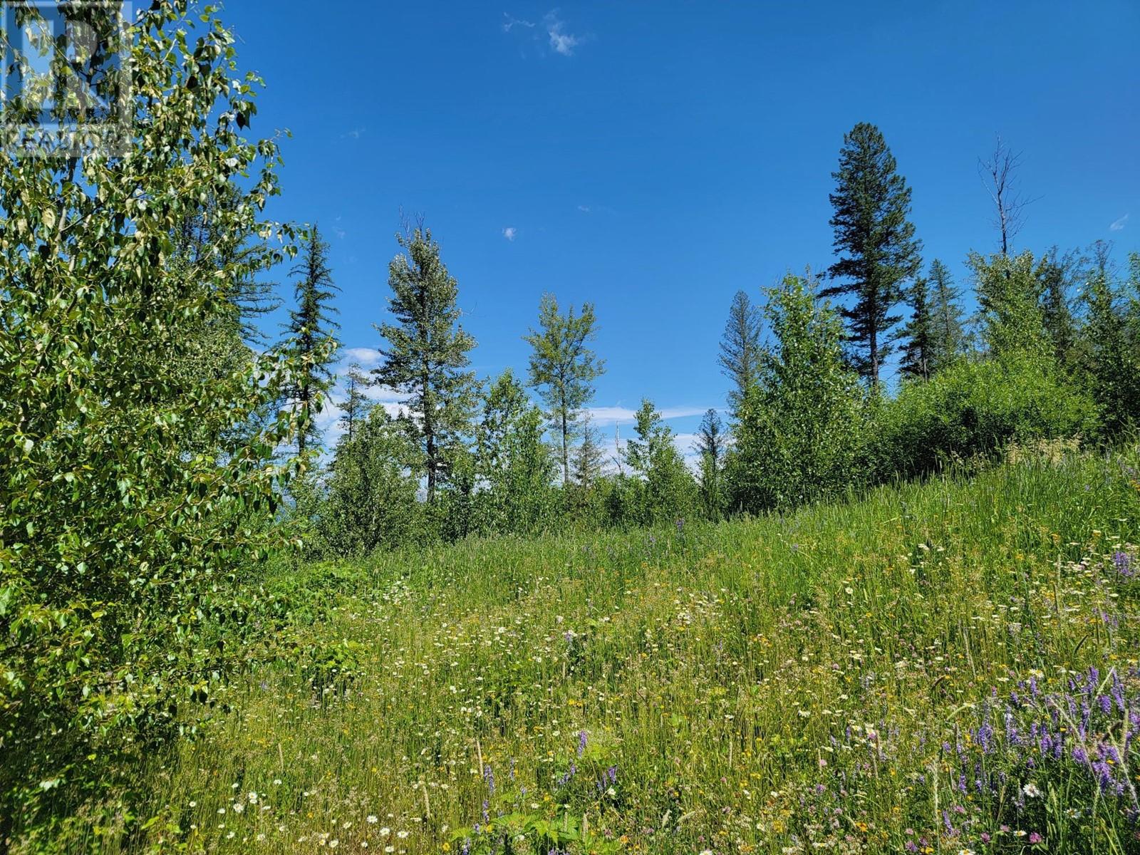 Lot 90 Montane Parkway Lot# Proposed, Fernie, British Columbia V0B 1M4 - Photo 2 - 10328113