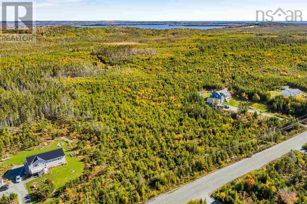 261 Leslie Road, Lawrencetown, Nova Scotia  B2Z 1T4 - Photo 6 - 202502260