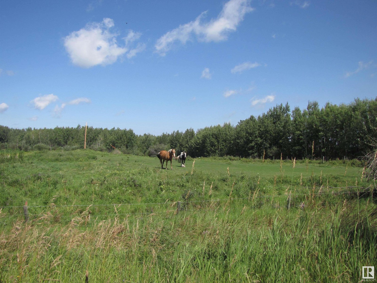 5206 Township Road 550, Rural Lac Ste. Anne County, Alberta  T0E 0L0 - Photo 7 - E4419569