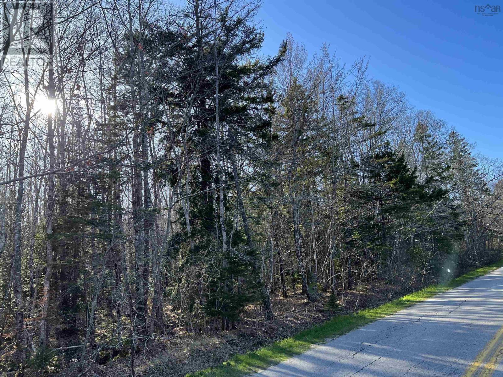 Gavel Road, Gavelton, Nova Scotia  B0W 3M0 - Photo 2 - 202502266