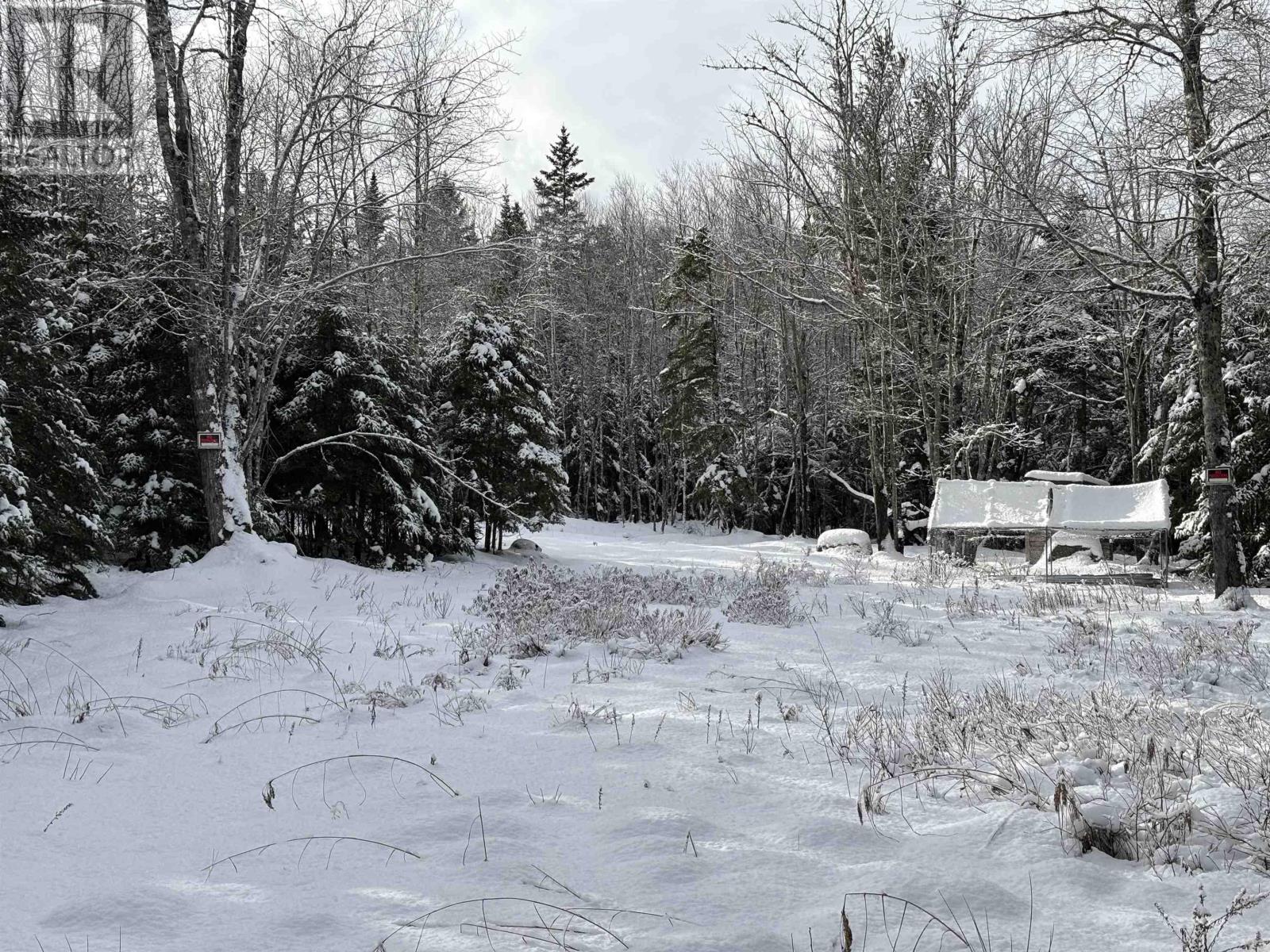 Lot 17 Lakefront Drive, Chelsea, Nova Scotia  B4V 7M9 - Photo 10 - 202502268